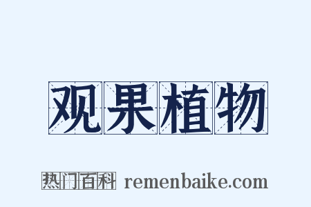 观果植物是什么意思的图片